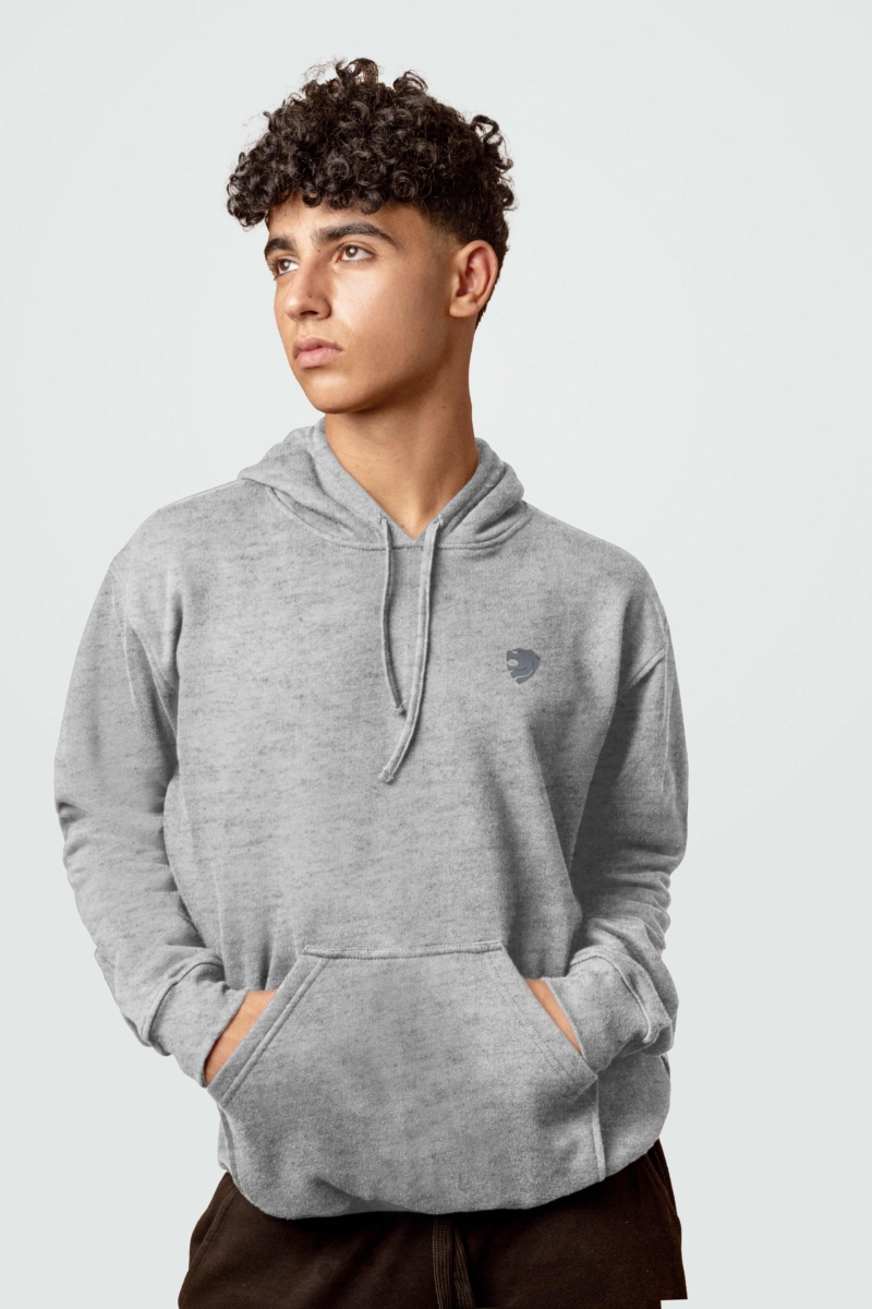 Sweat à Capuche homme gris clair entier